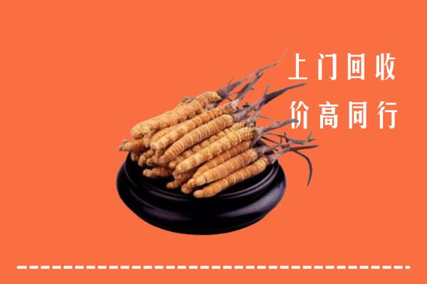 眉山高价冬虫夏草回收多少钱每克