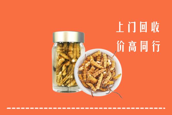 高价求购：眉山回收冬虫夏草